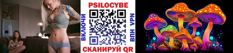 маркетплейс официальный сайт  Ликино-Дулёво  Псилоцибиновые грибы Cubensis 